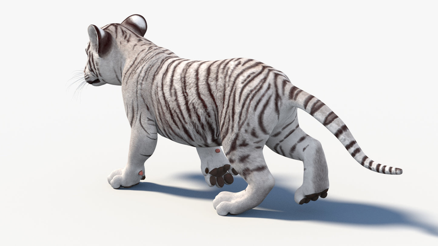 Rigged White Baby Tiger 3D Model