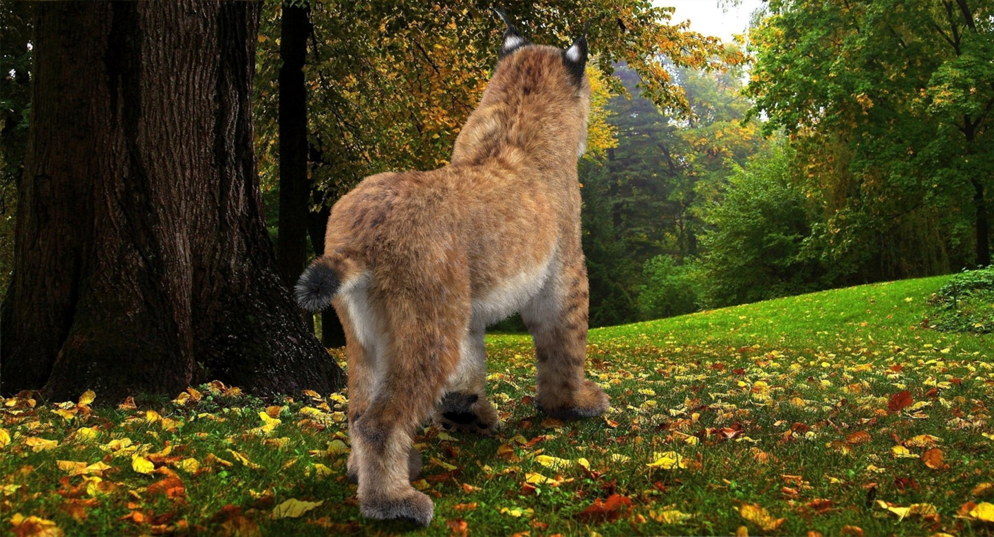 Animated Eurasian Lynx 3D Model with Fur