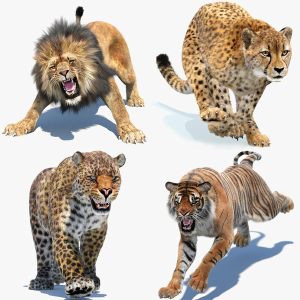 Animated Big Cats 3D Bundle — Lion, Tiger, Leopard & Cheetah