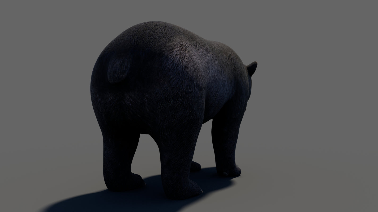 Animated Black Bear 3D Model 360° view 1 frame 24