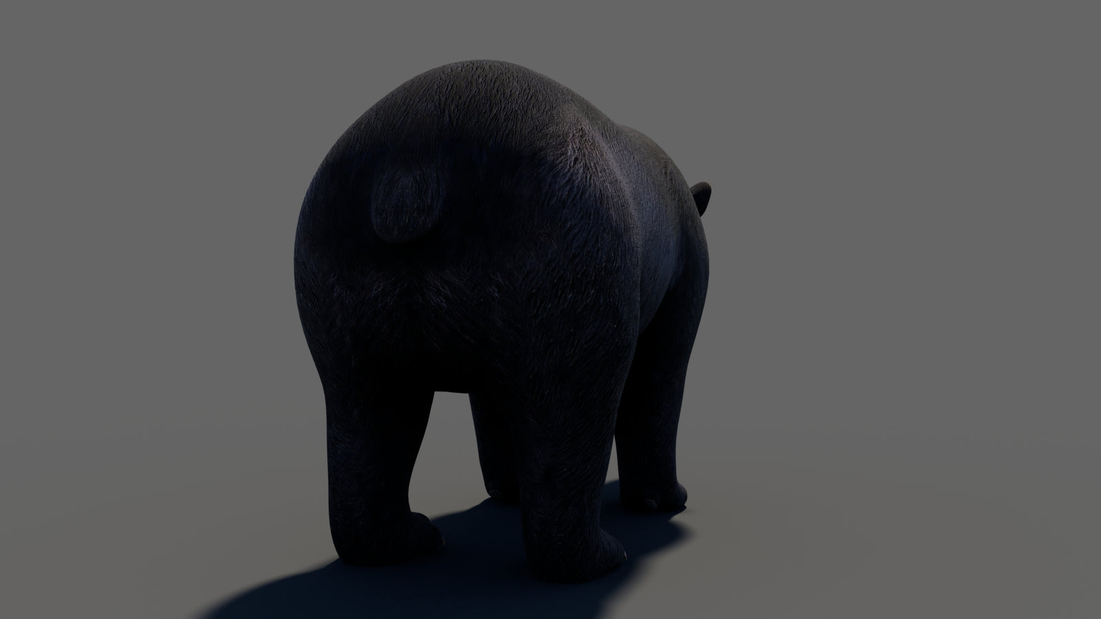 Animated Black Bear 3D Model 360° view 1 frame 25
