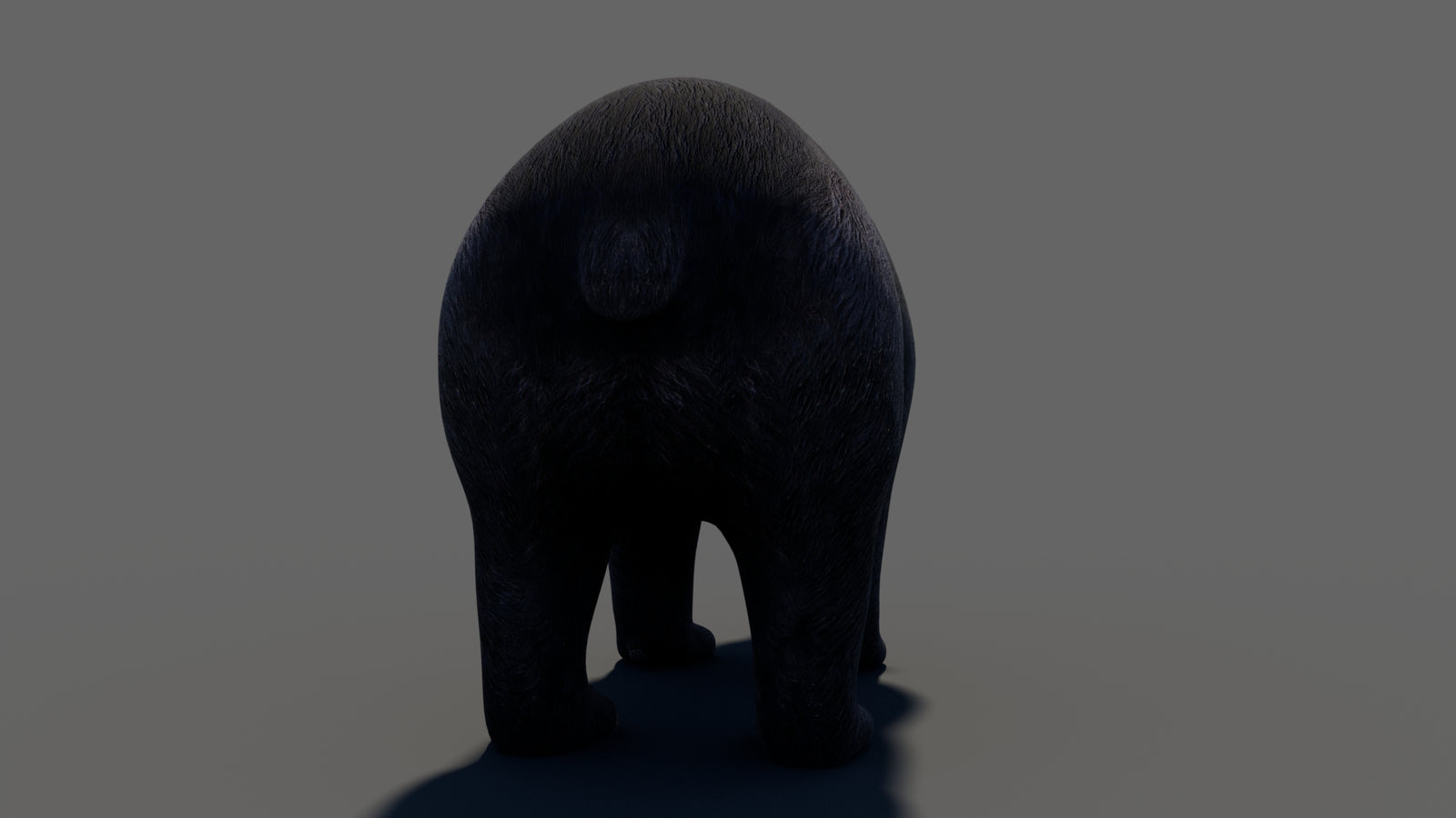 Animated Black Bear 3D Model 360° view 1 frame 26