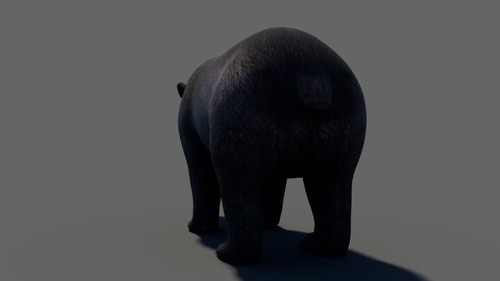 Animated Black Bear 3D Model 360° view 1 frame 29