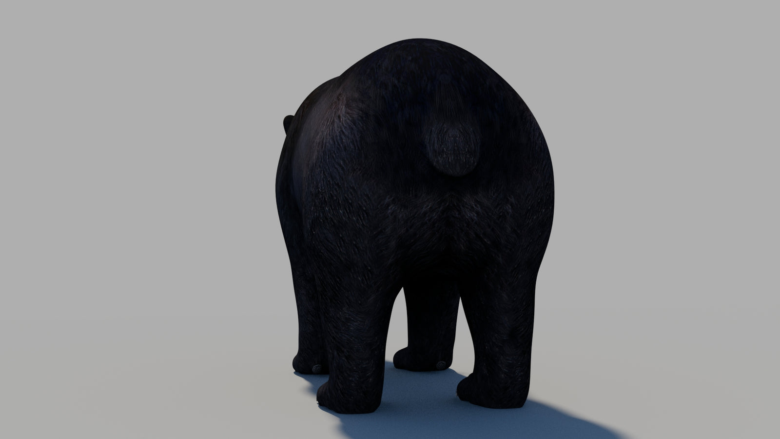 Black Bear 3D Model 360° view 1 frame 16