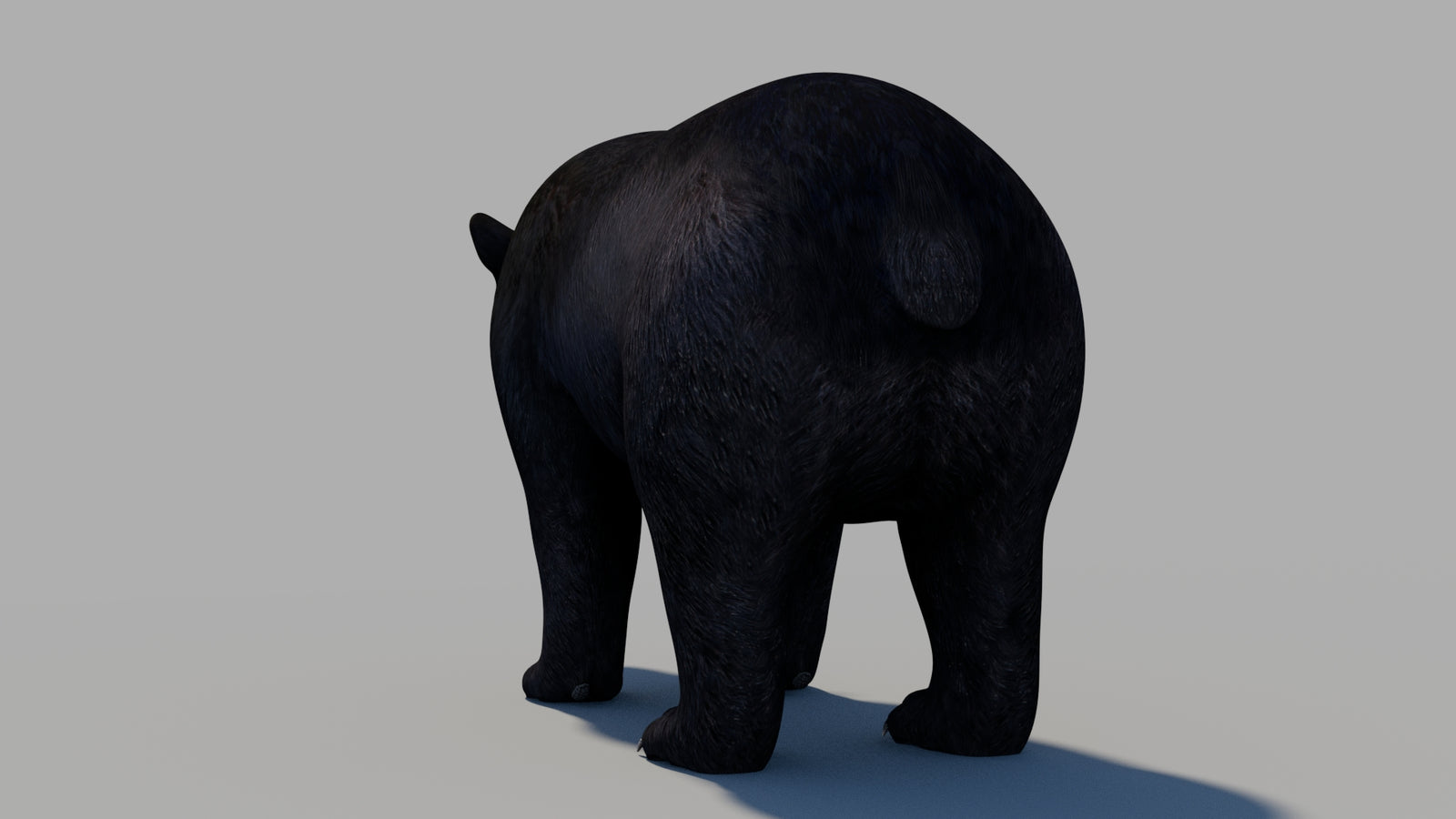 Black Bear 3D Model 360° view 1 frame 17