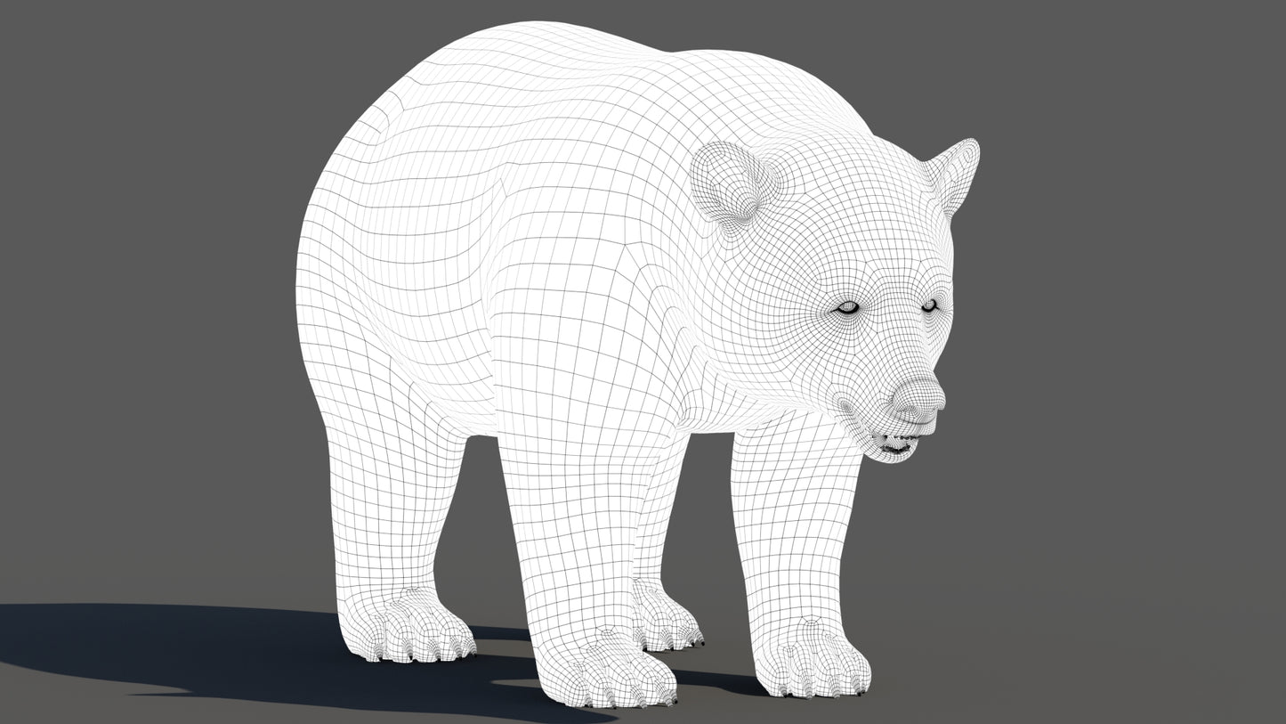 Black Bear 3D Model Wireframe View 1
