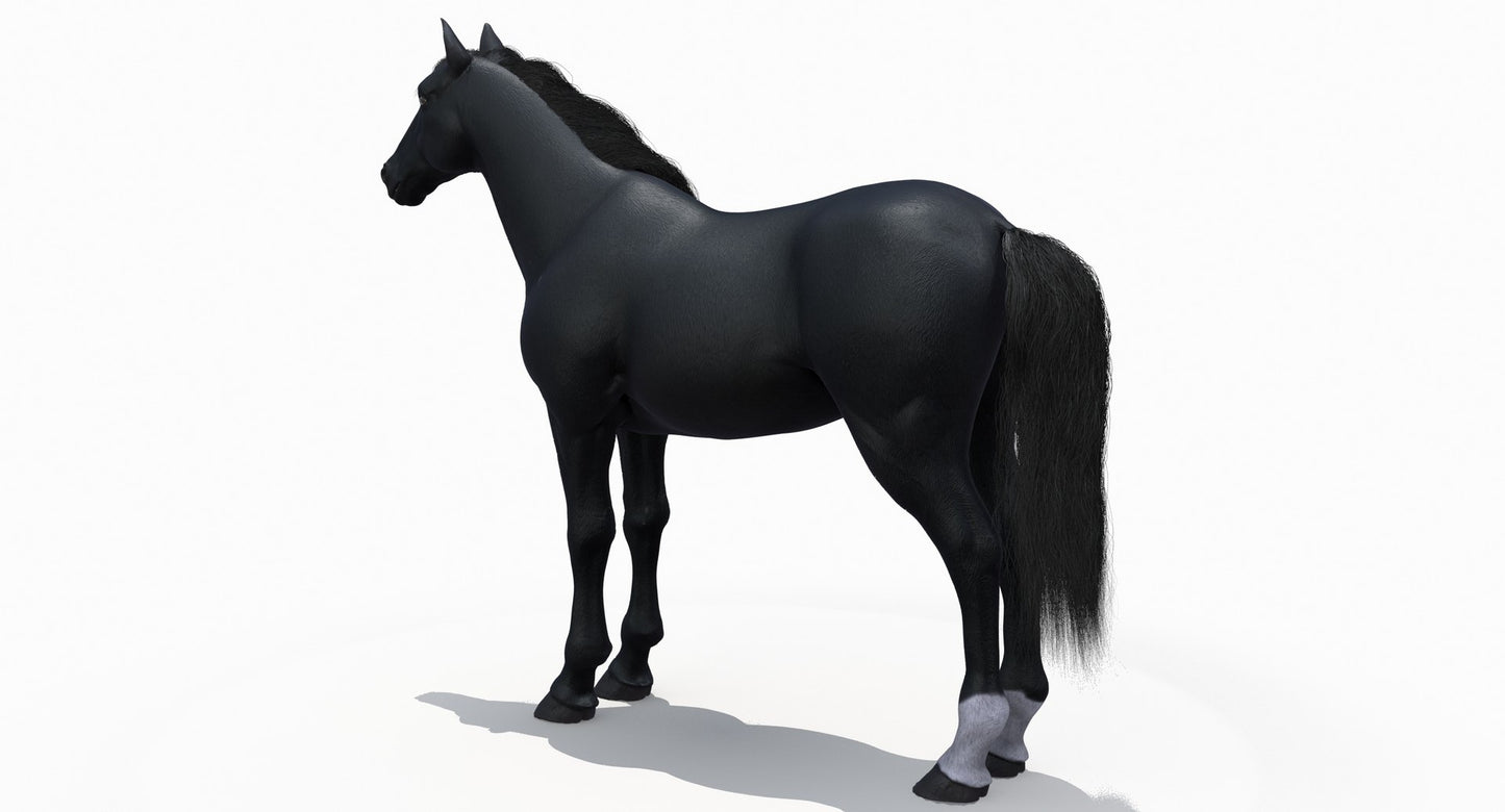 Black Horse 3D Model Fur