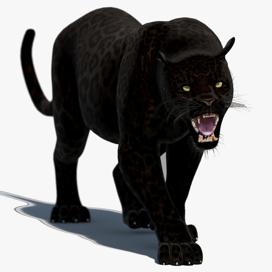Black Panther 3D Model Animated