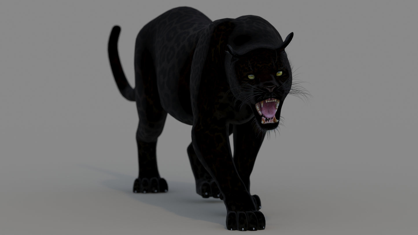 Animated Black Panther Animal 3D Model