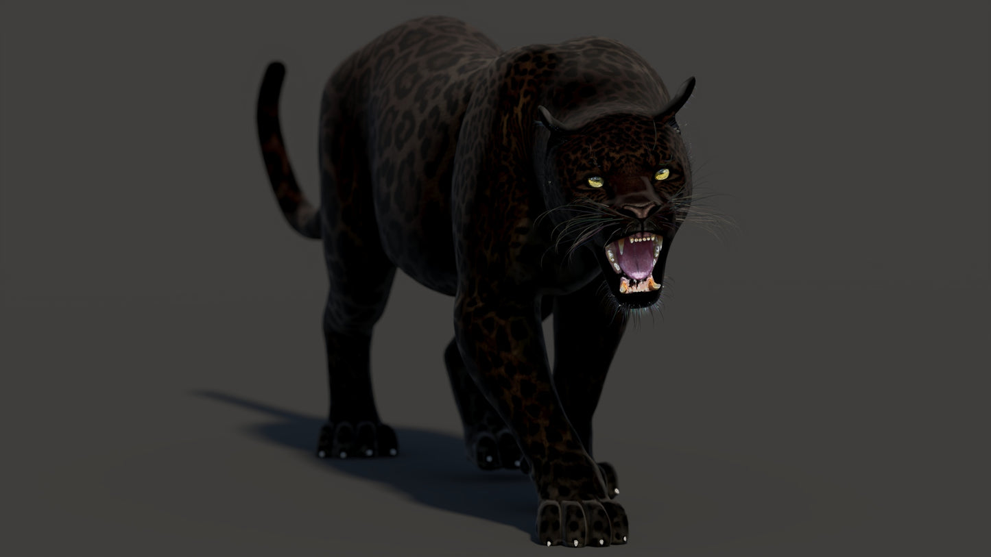 Animated Black Panther Animal 3D Model