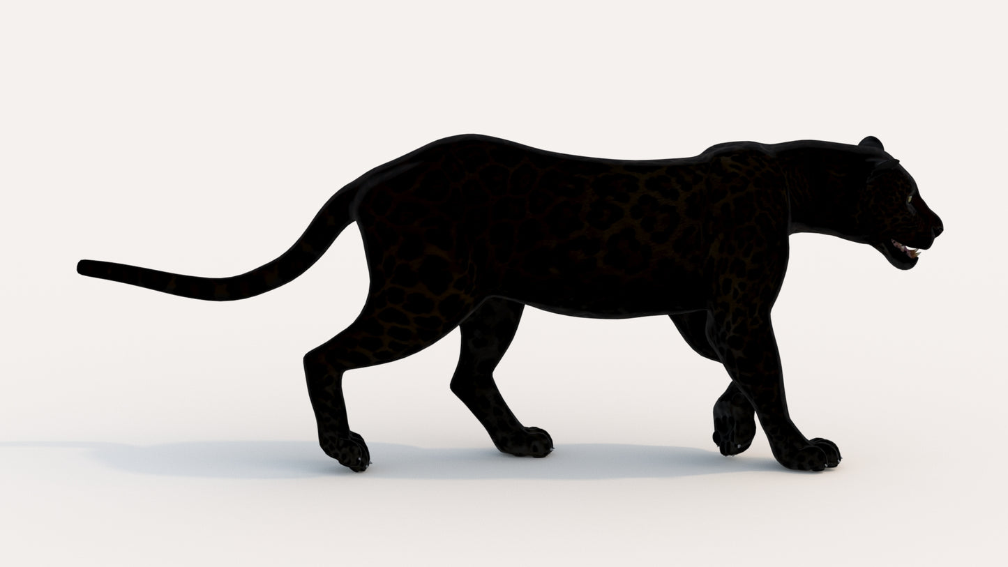 Animated Black Panther Animal 3D Model