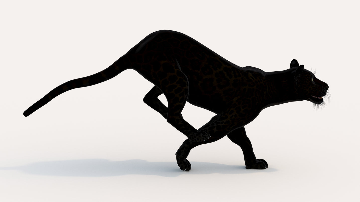 Animated Black Panther Animal 3D Model