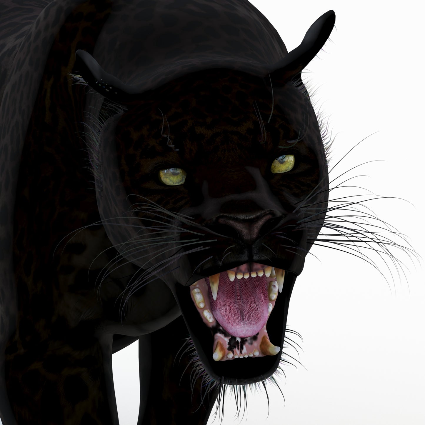 Animated Black Panther Animal 3D Model
