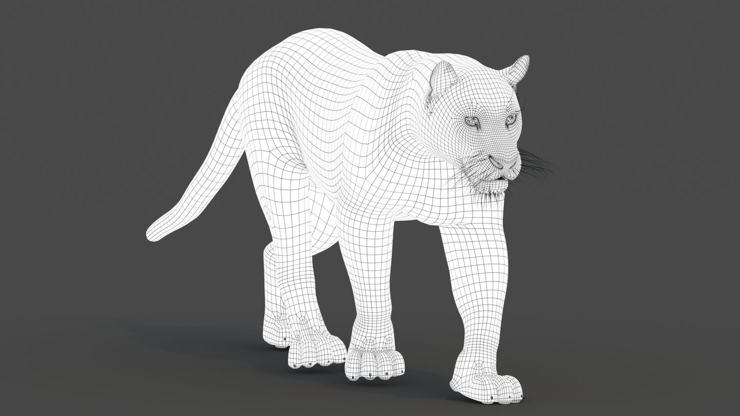 Animated Black Panther Animal 3D Model