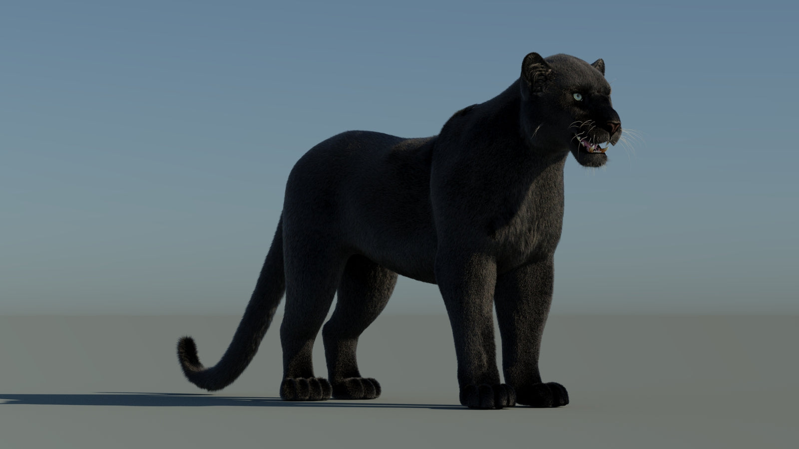 Black Panther 3D Model with Fur 360° view 1 frame 4