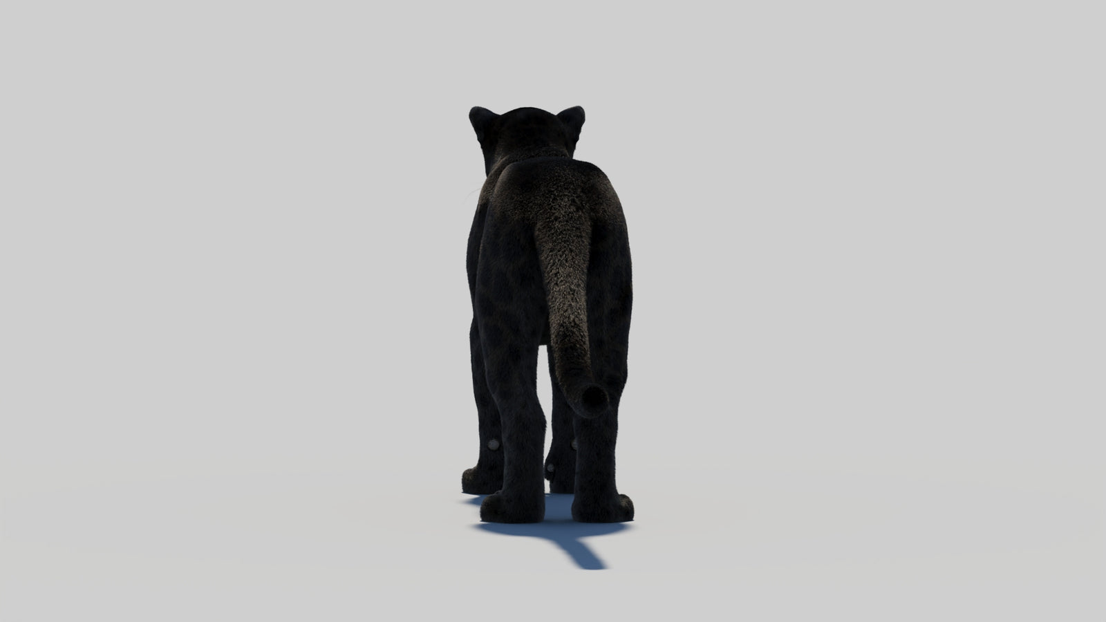 Black Panther 3D Model with Realistic Fur 360° view 1 frame 22