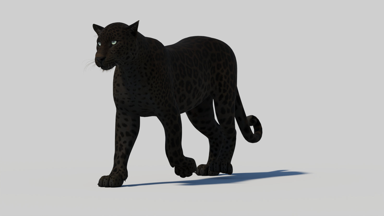 Animated Black Panther 3D Model 360° view 1 frame 6