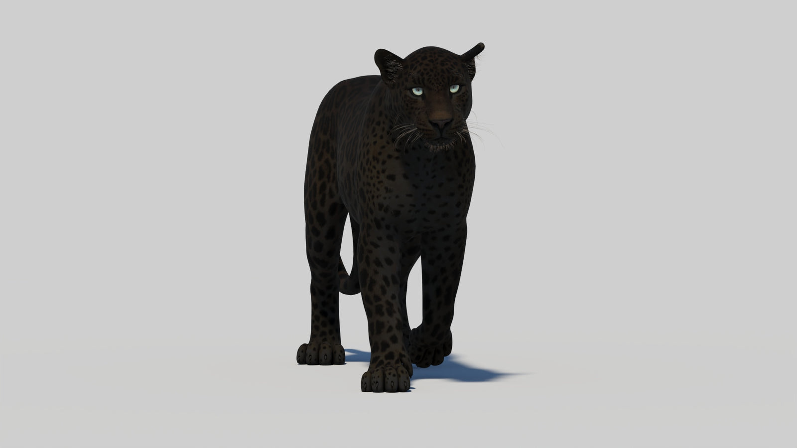 Animated Black Panther 3D Model 360° view 1 frame 10