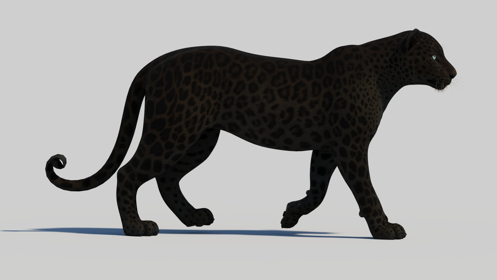 Animated Black Panther 3D Model 360° view 1 frame 17