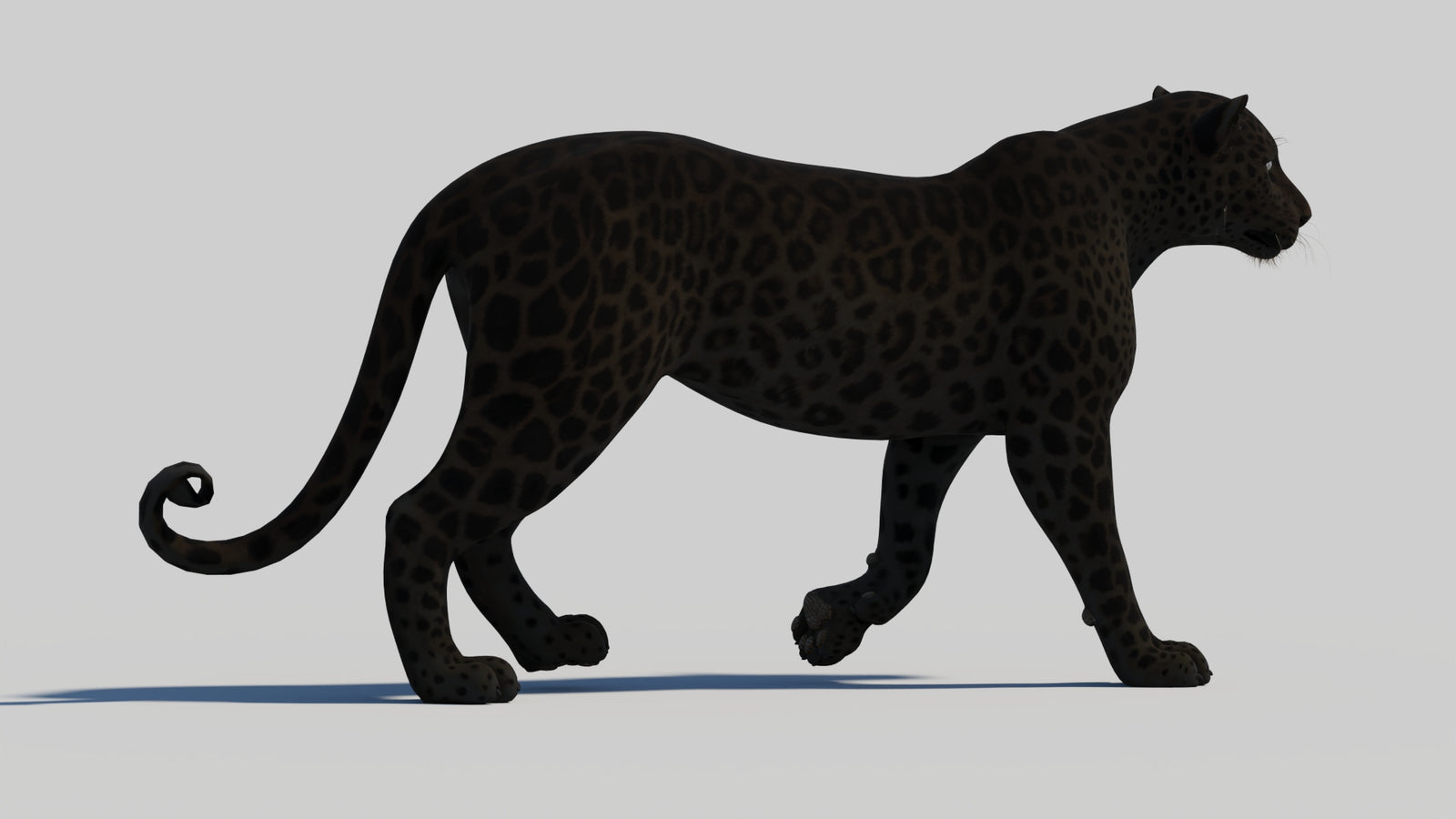 Animated Black Panther 3D Model 360° view 1 frame 20