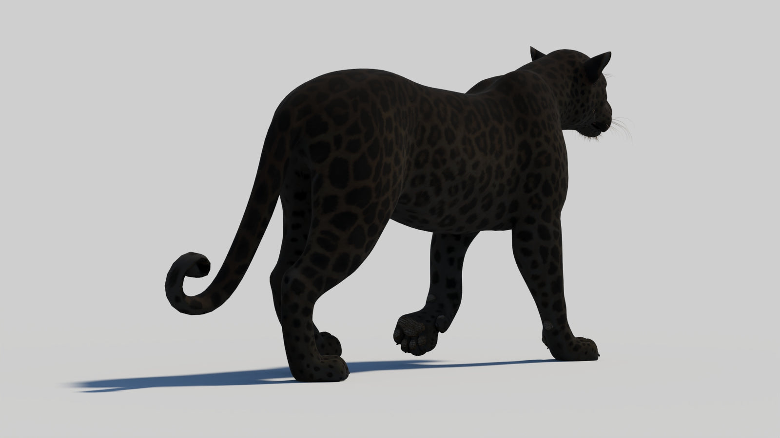 Animated Black Panther 3D Model 360° view 1 frame 23