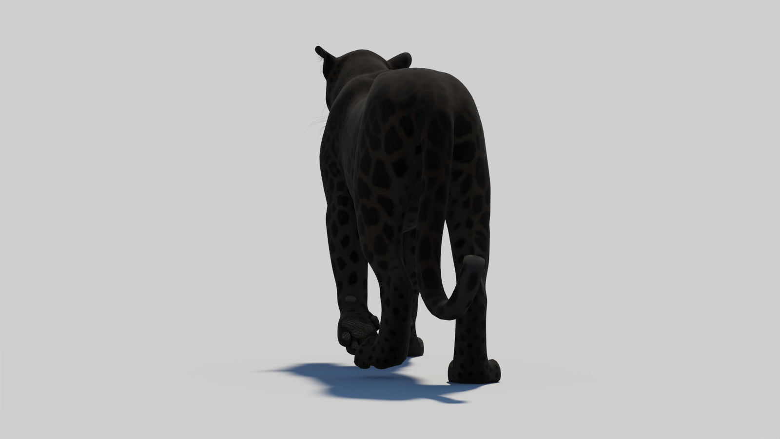 Animated Black Panther 3D Model 360° view 1 frame 28
