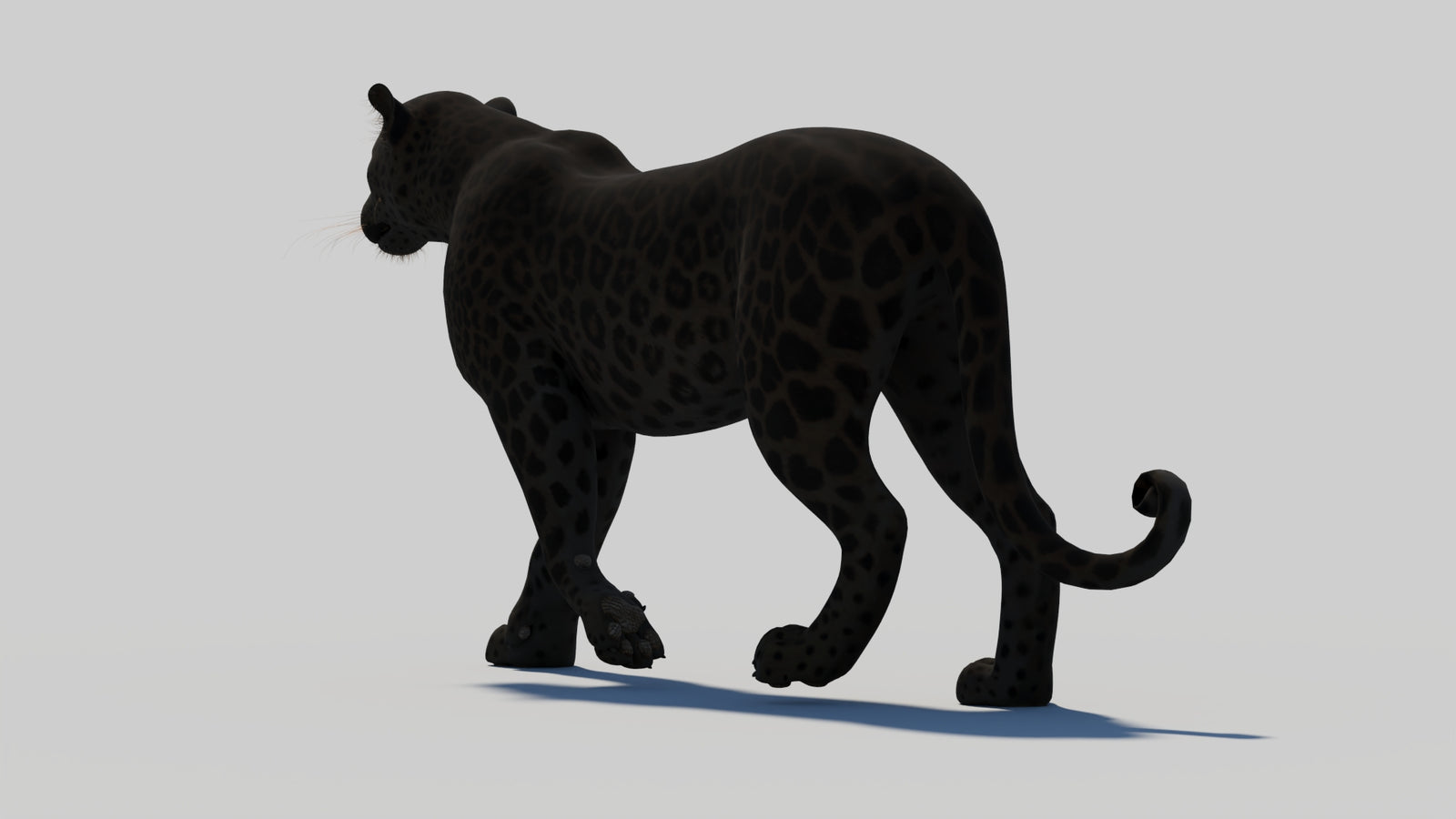 Animated Black Panther 3D Model 360° view 1 frame 31
