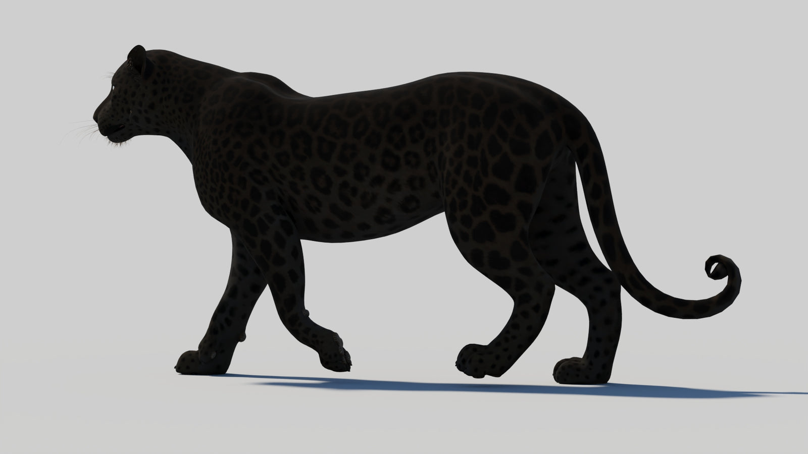 Animated Black Panther 3D Model 360° view 1 frame 34