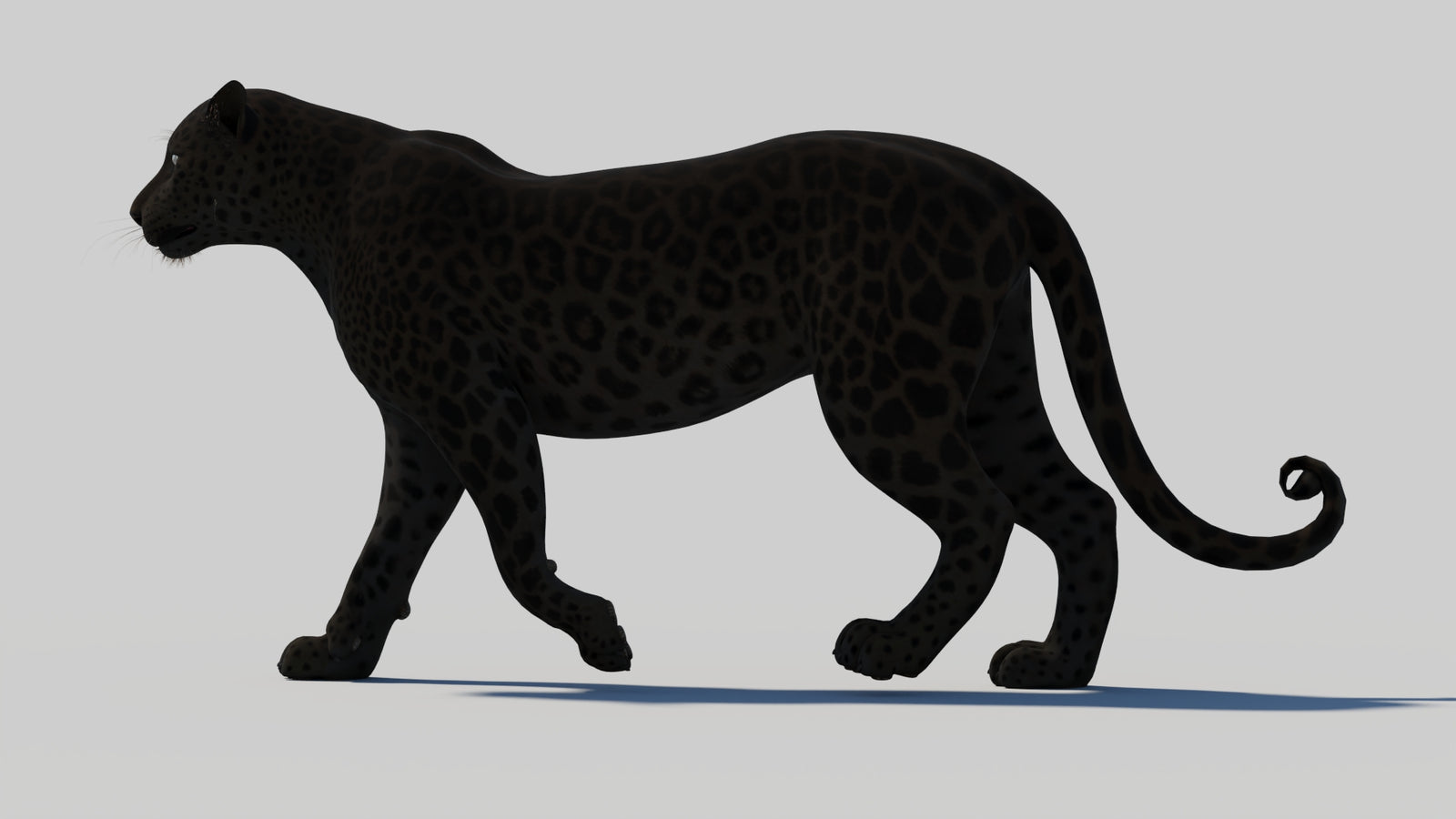 Animated Black Panther 3D Model 360° view 1 frame 35