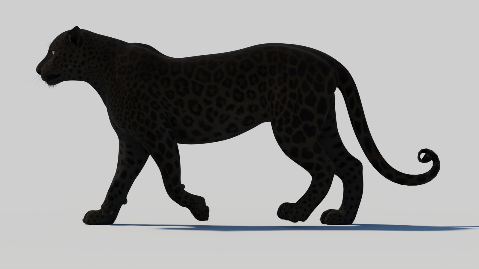 Animated Black Panther 3D Model 360° view 1 frame 36