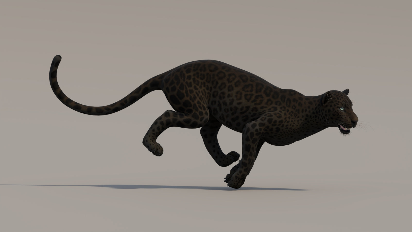 Animated Black Panther 3D Model 360° view 4 frame 5