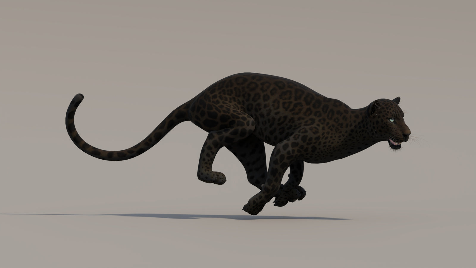 Animated Black Panther 3D Model 360° view 4 frame 6