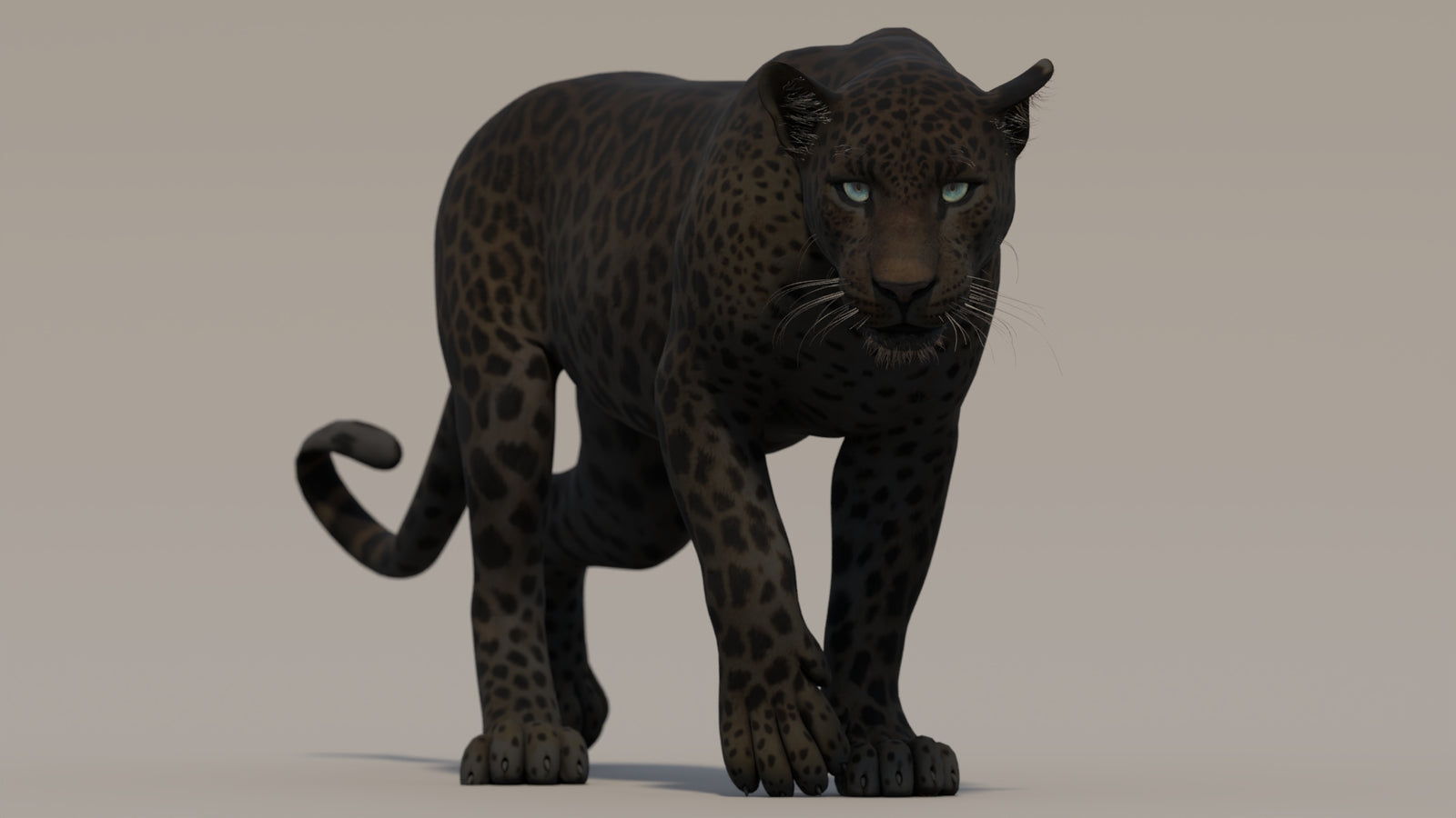 Animated Black Panther 3D Model 360° view 2 frame 2