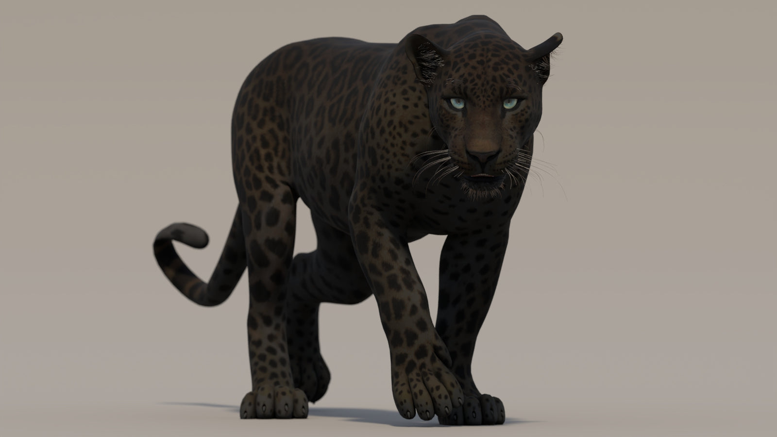 Animated Black Panther 3D Model 360° view 2 frame 3