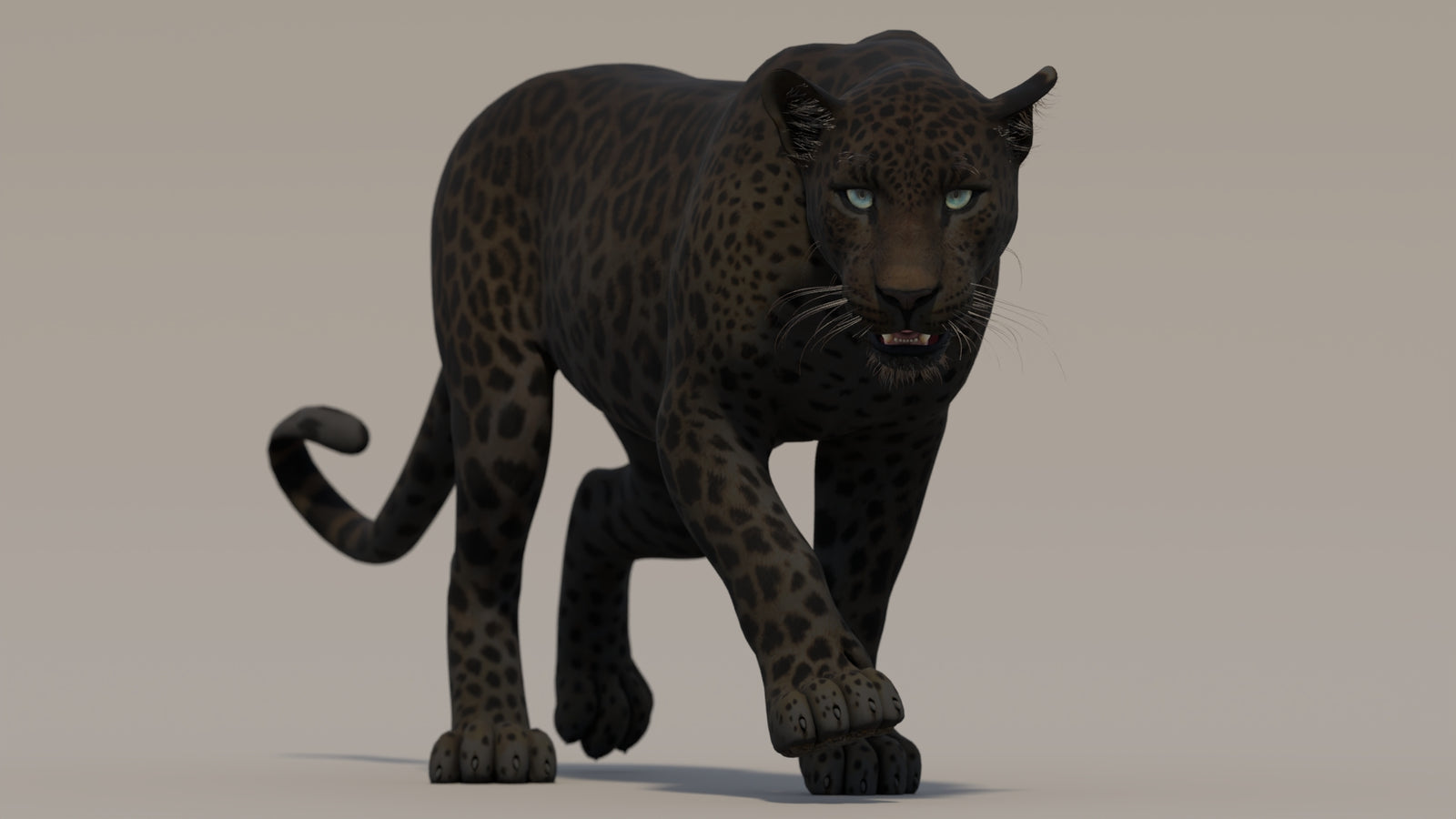 Animated Black Panther 3D Model 360° view 2 frame 5
