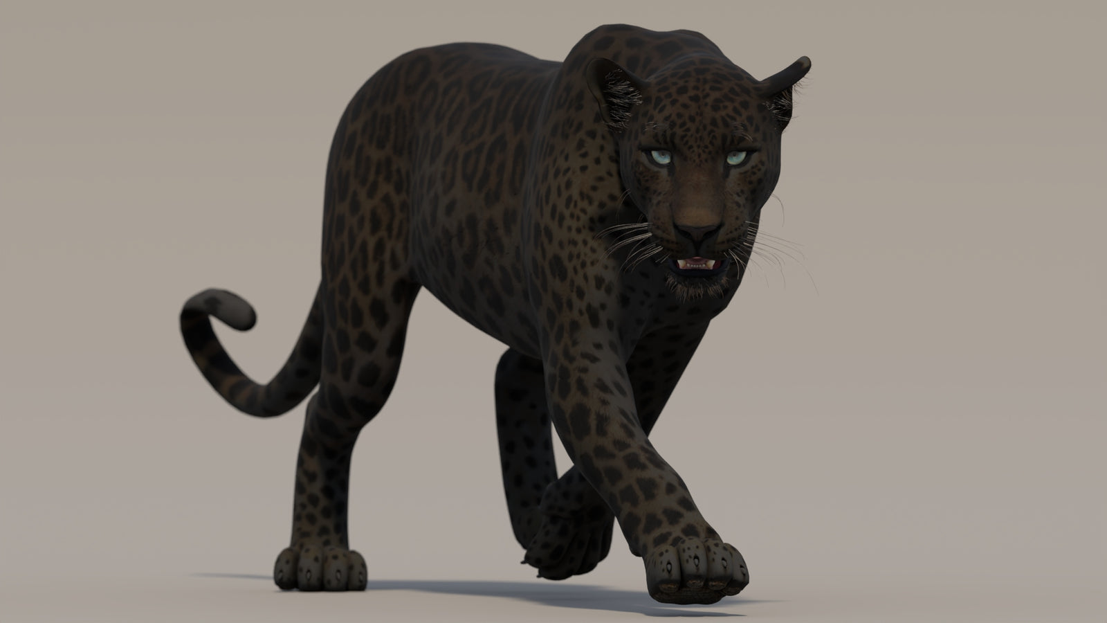 Animated Black Panther 3D Model 360° view 2 frame 11
