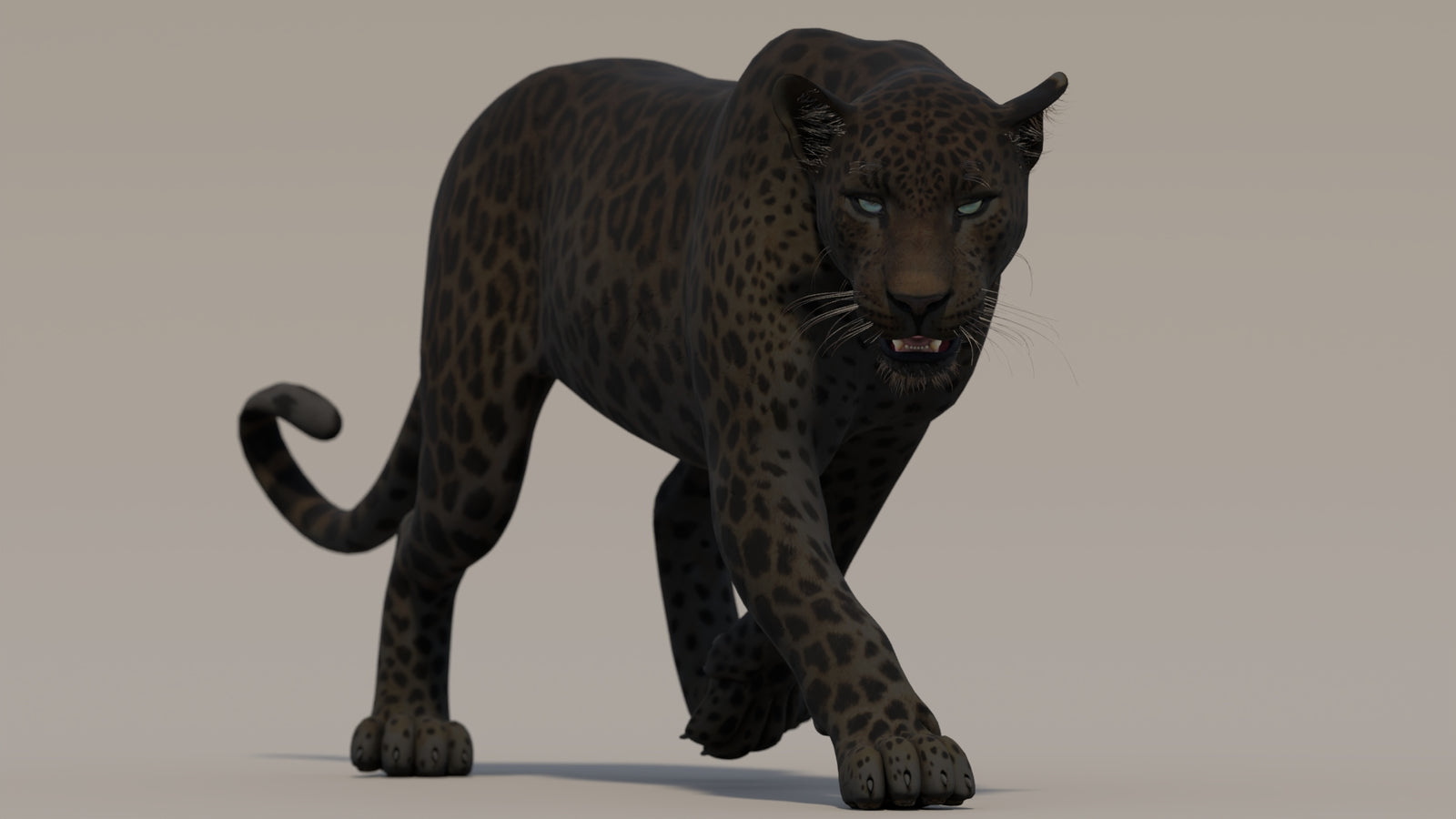 Animated Black Panther 3D Model 360° view 2 frame 12