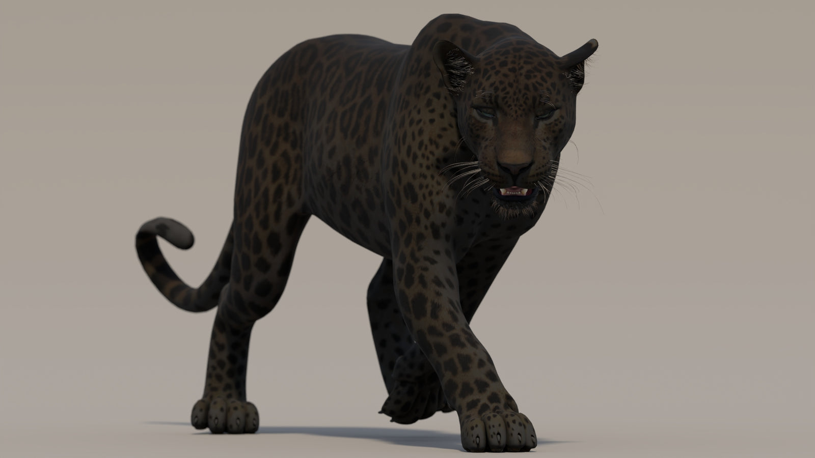 Animated Black Panther 3D Model 360° view 2 frame 13