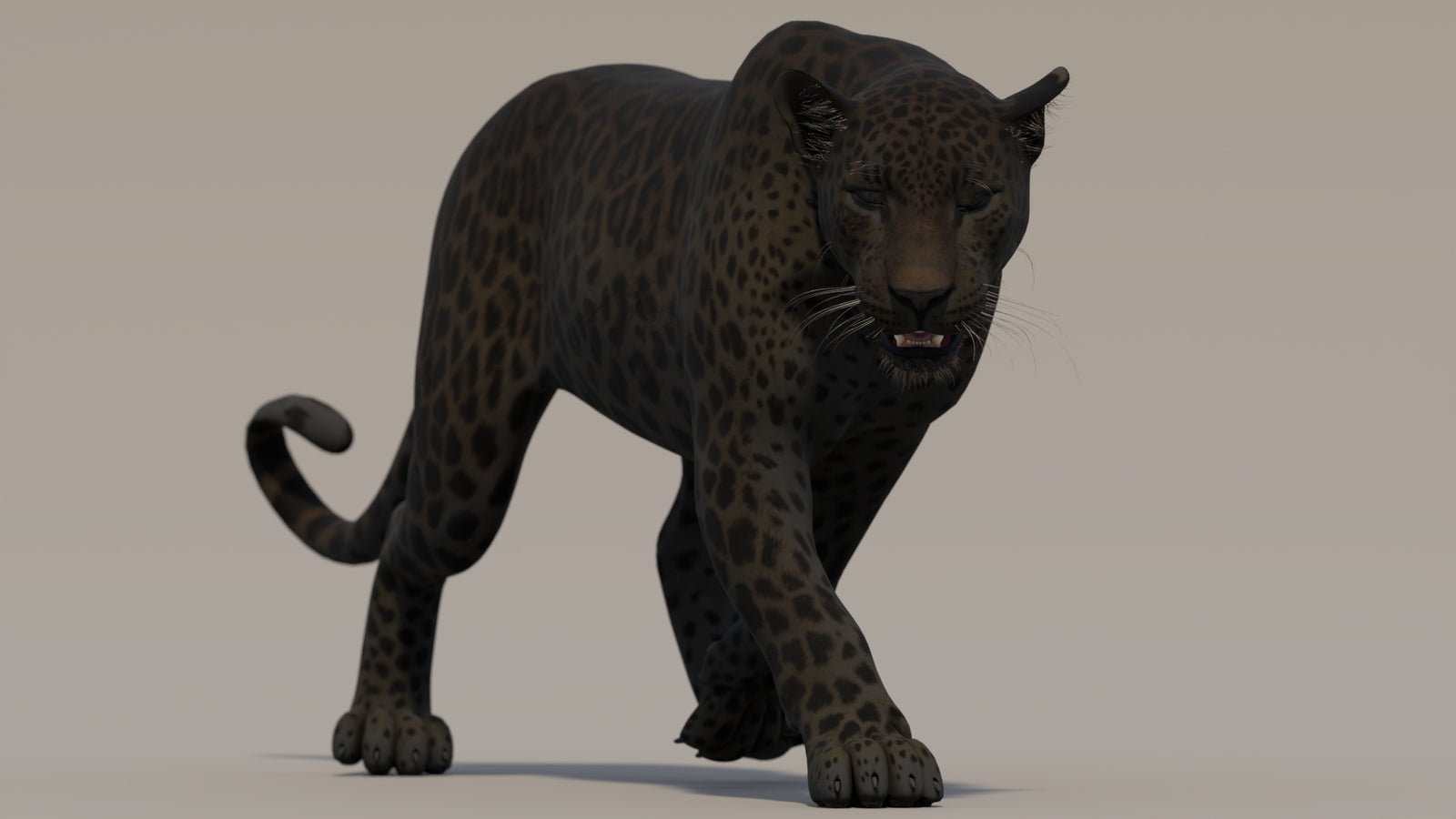 Animated Black Panther 3D Model 360° view 2 frame 14