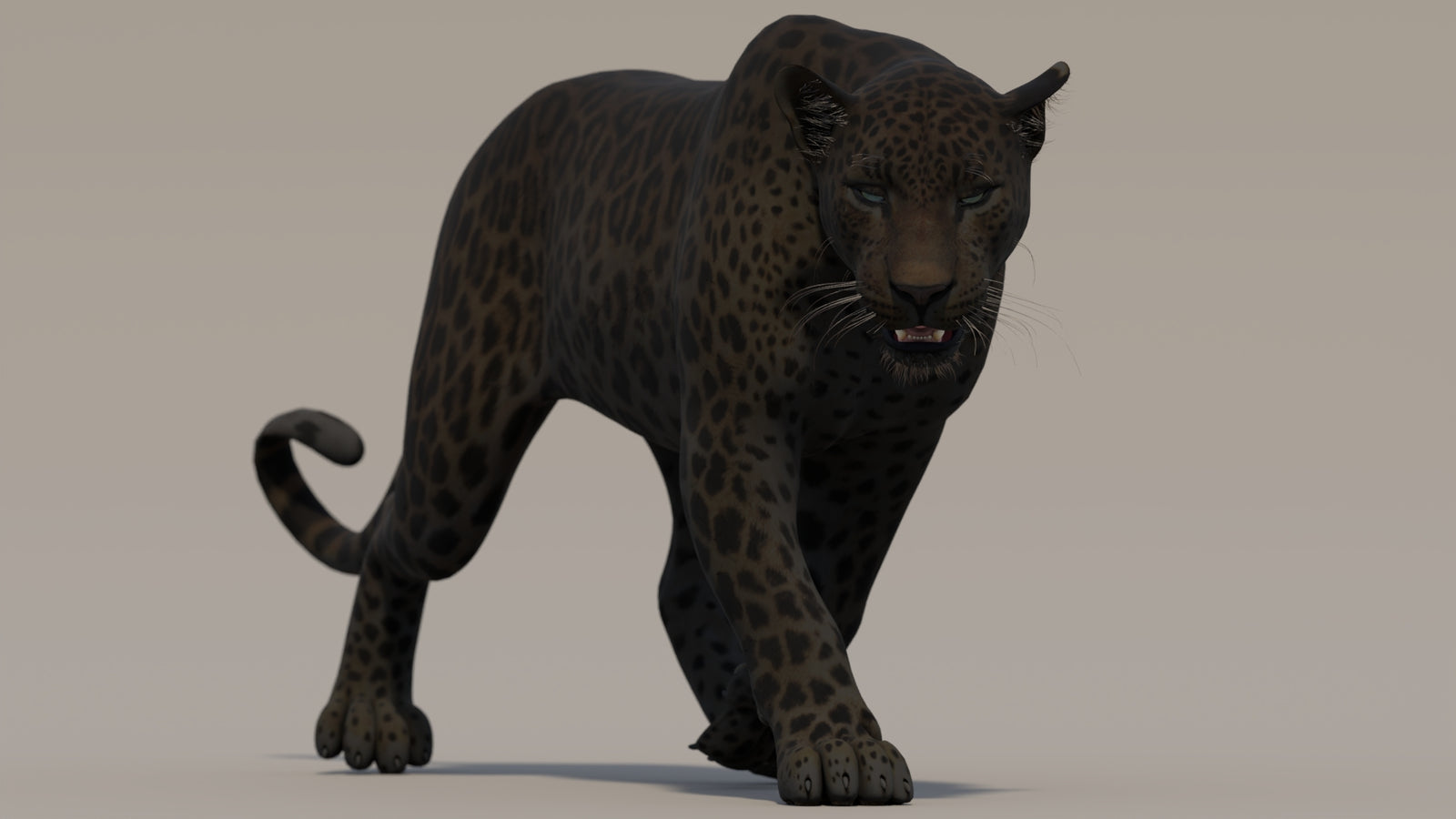 Animated Black Panther 3D Model 360° view 2 frame 15