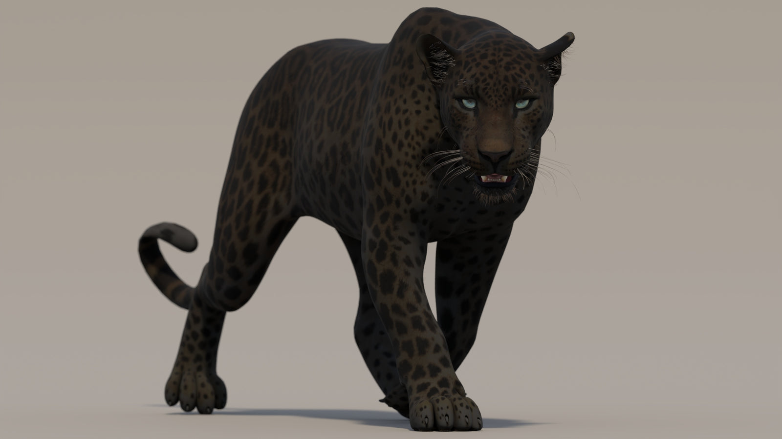 Animated Black Panther 3D Model 360° view 2 frame 16