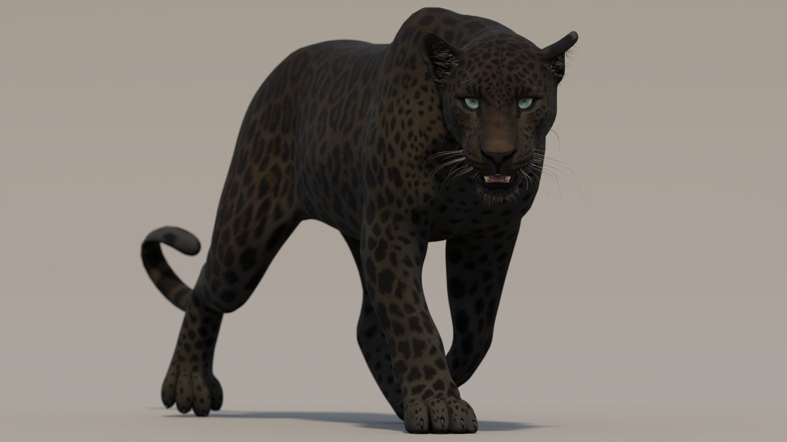 Animated Black Panther 3D Model 360° view 2 frame 17