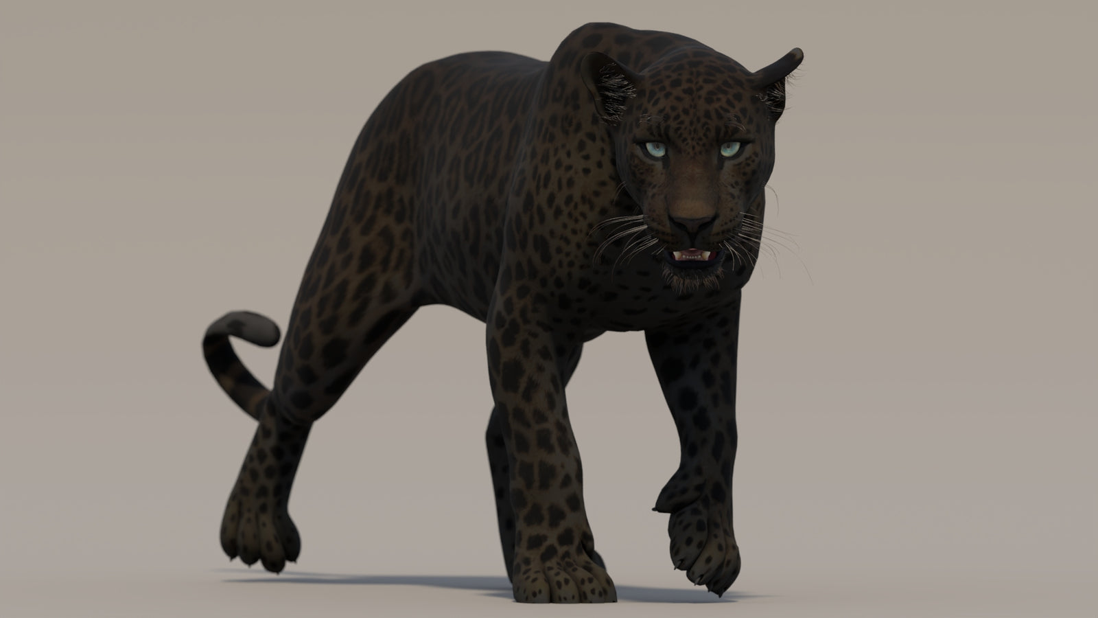Animated Black Panther 3D Model 360° view 2 frame 22