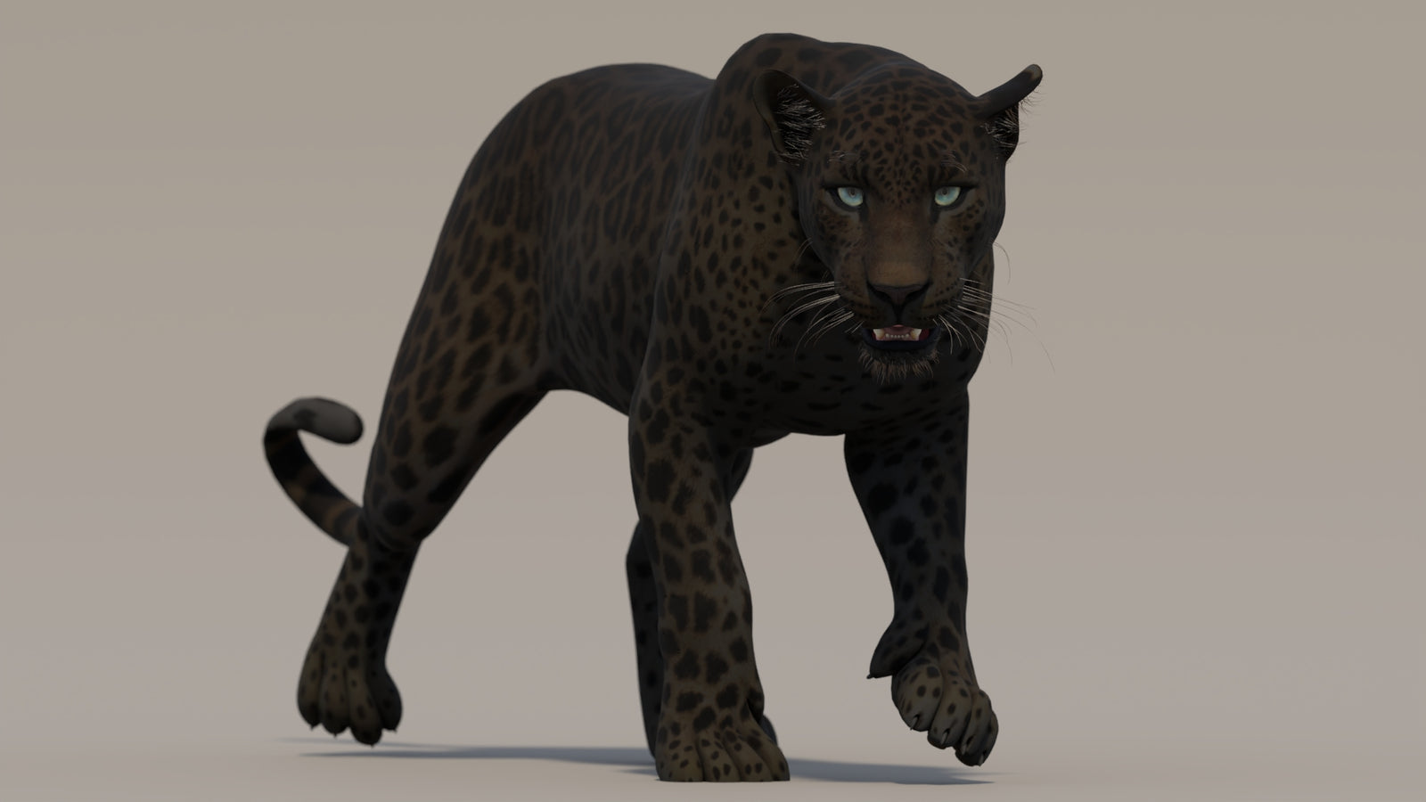 Animated Black Panther 3D Model 360° view 2 frame 23