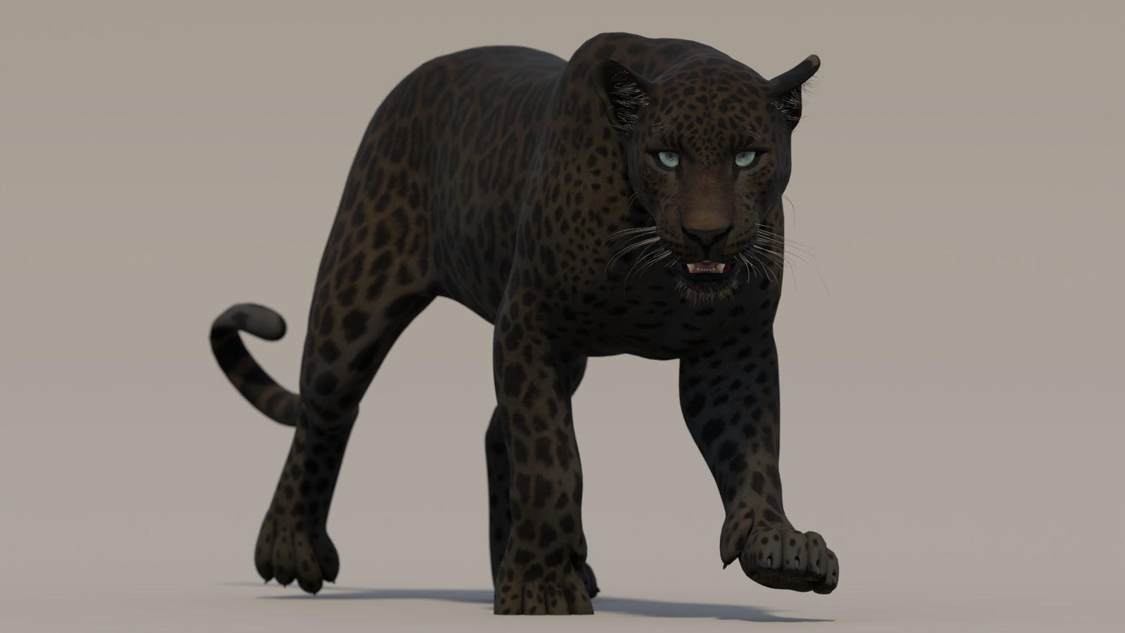 Animated Black Panther 3D Model 360° view 2 frame 24