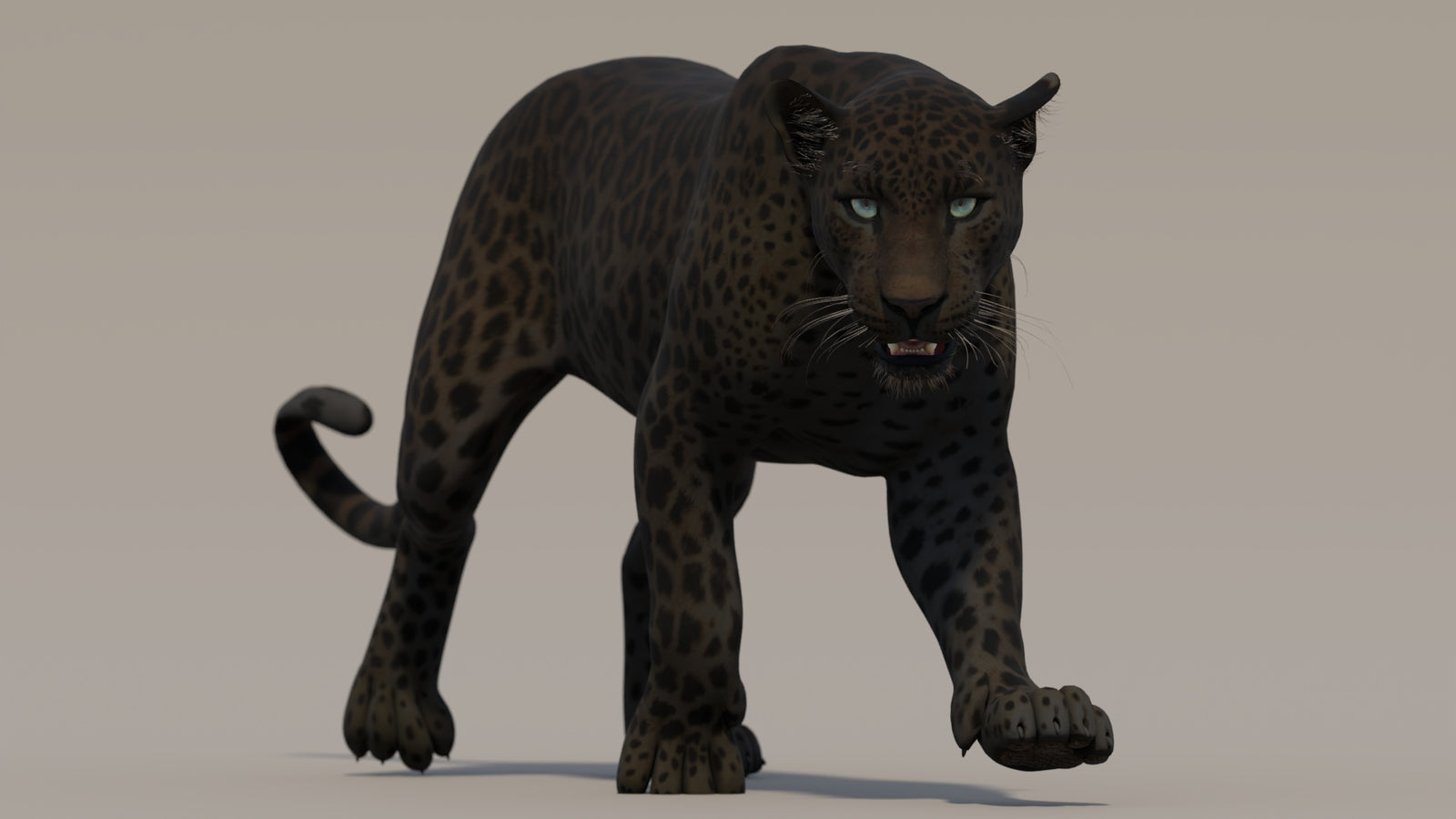 Animated Black Panther 3D Model 360° view 2 frame 25