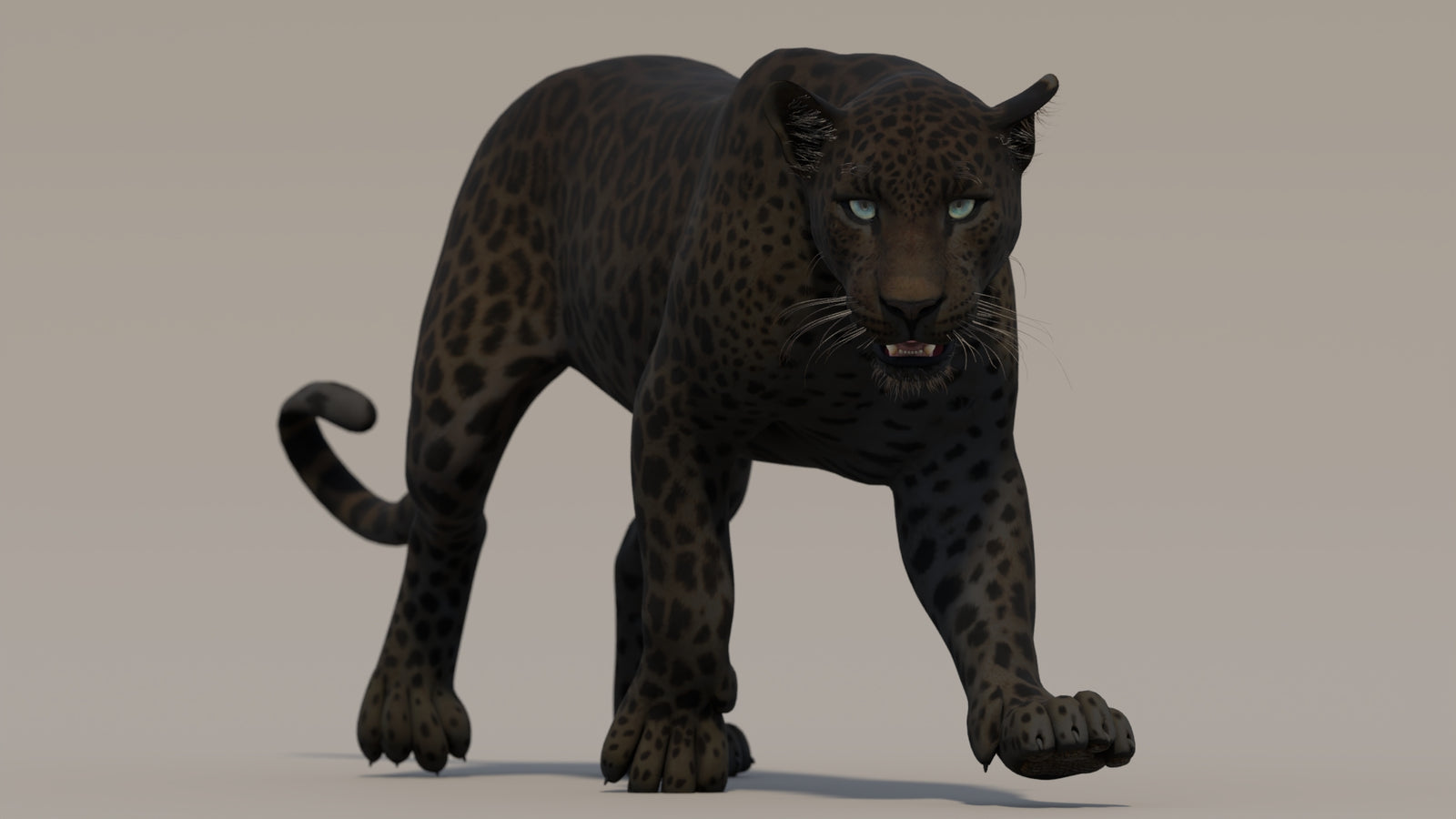 Animated Black Panther 3D Model 360° view 2 frame 26
