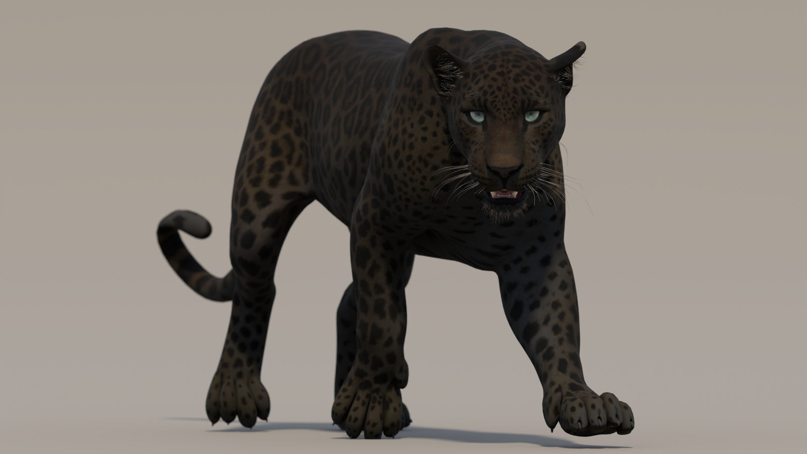 Animated Black Panther 3D Model 360° view 2 frame 27