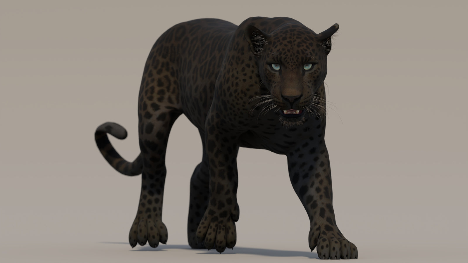 Animated Black Panther 3D Model 360° view 2 frame 29