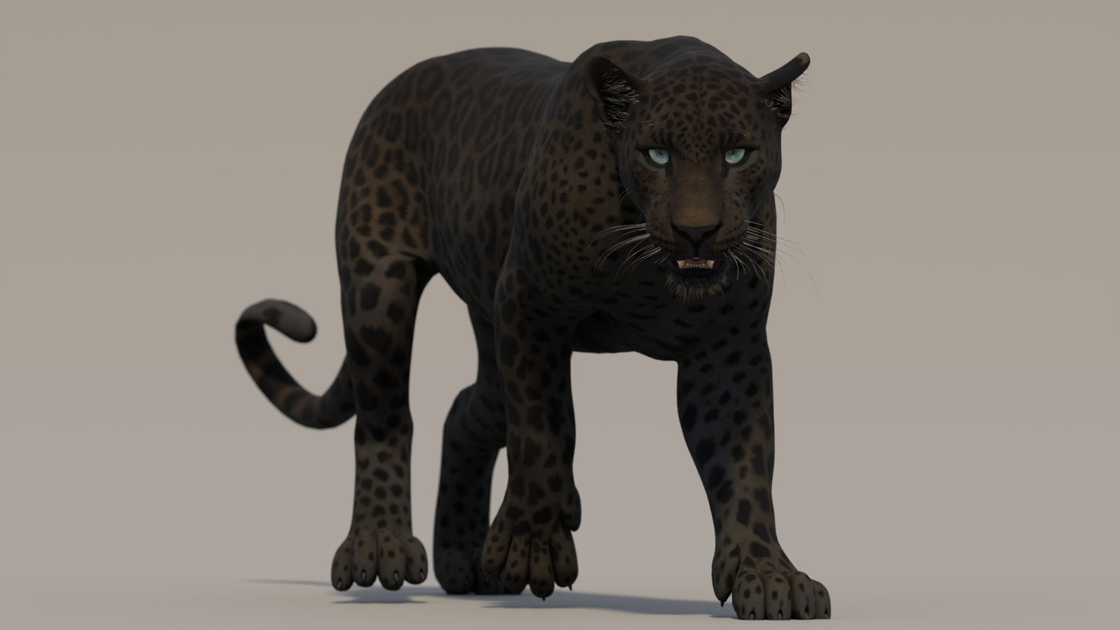 Animated Black Panther 3D Model 360° view 2 frame 31